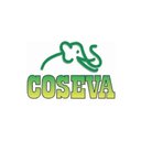 Coseva company logo