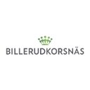 Billerud company logo