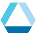 Access Partnership company logo
