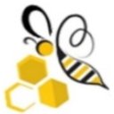 Strategenius Business Valiants company logo