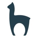 Belsono Management Group company logo