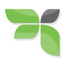 Merit Health Wesley company logo