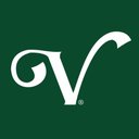 The Villages company logo