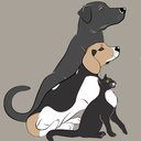 Salem Animal Hospital company logo