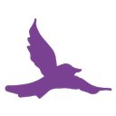 DOVE Center company logo