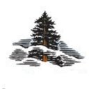 Save the Redwoods League company logo