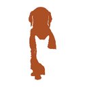 Texas Coalition for Animal Protection company logo