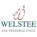 Welstee company logo