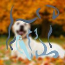 Crysler Animal Hospital company logo