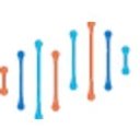 Inference Labs company logo