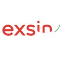 Exsin company logo