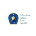 FISE company logo