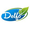 Delfo GmbH company logo