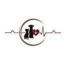 Angel Pet Hospital company logo
