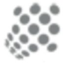Globe Group company logo