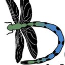 Delmarva Native Plants company logo