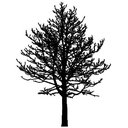 Sidelines Tree Service, LLC company logo