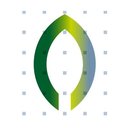Cobra adviseurs company logo