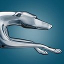 Greyhound Lines, Inc. company logo