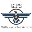 GIPS SECURITY company logo