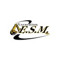 Excavation ESM Inc company logo