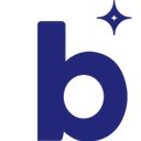 Bright Star Solutions LLC company logo