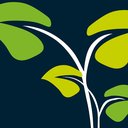Spellman Care company logo