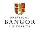 Bangor University company logo
