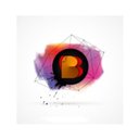 Bragnam Learning Pvt. Ltd. company logo