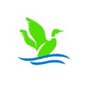 S Drakes Pressure Washing Services company logo