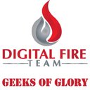 Digital Fire Team company logo
