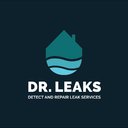 Dr. Leaks company logo