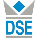 DSE IT-Services company logo