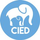 CIED - Consultoría de Integración Educativa company logo