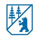 Borregaard company logo