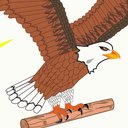 The Confederacy of Mainland Mi'kmaq company logo