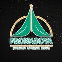 PRONASOYA company logo