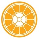 Resurgent India company logo