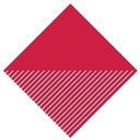 AFF Holdings Limited company logo