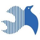 FORTUNE SOCIETY INC company logo