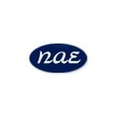 Napino Auto & Electronics ltd company logo