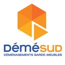 DEMESUD company logo