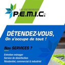 Les Entreprises PEMIC company logo