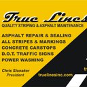 True Lines Inc company logo