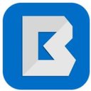 Brown Strauss, Inc. company logo