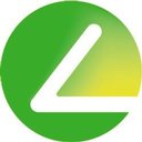 Long View Systems company logo