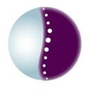 Enfield Chiropractic Clinic company logo