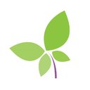 De Vlinderboom op school company logo
