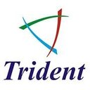 TRIDENT INFOSOL company logo