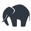 Elephant in the Room company logo